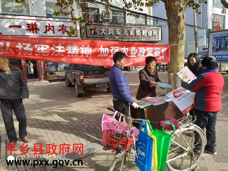 农业发放宣传资料2.jpg