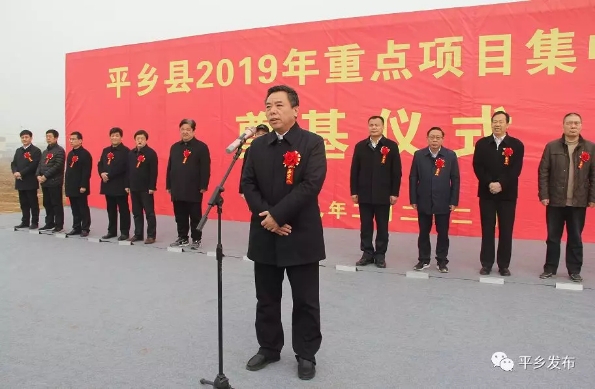 杨.jpg